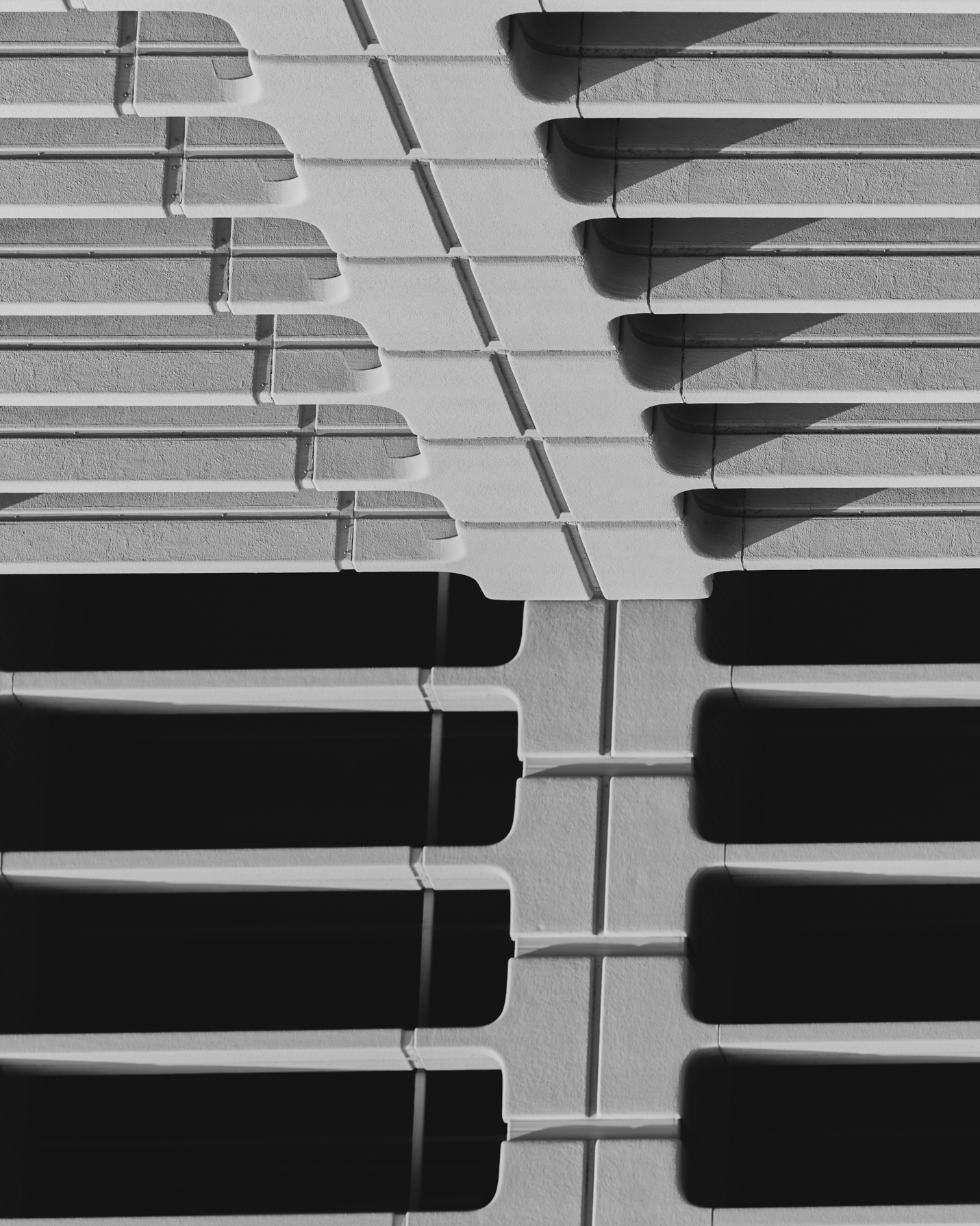 ÈL COLLECTION 03の写真