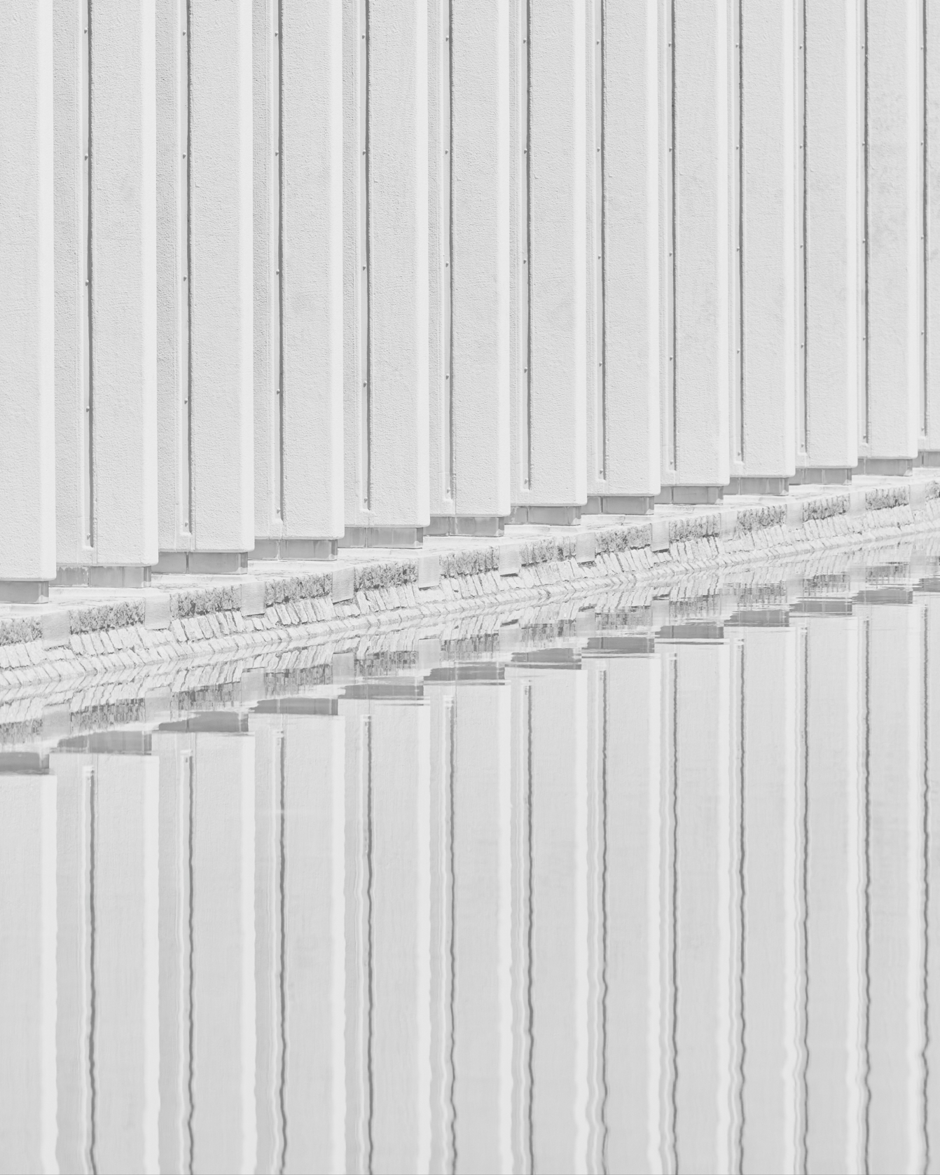 ÈL COLLECTION 03の写真